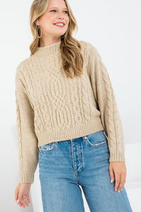 Croped Long Sleeve Crew Neck Sweater Top